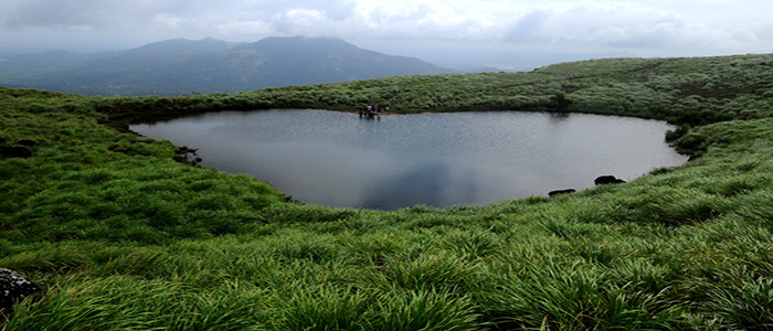 Chembra Peak, Kerala