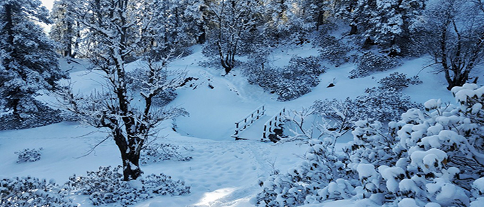 Kedarkantha Trek, Uttarakhand