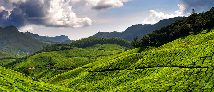 Munnar