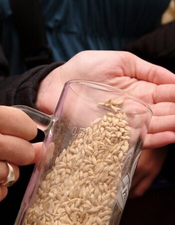 Beer and Brewery Tour in Munich